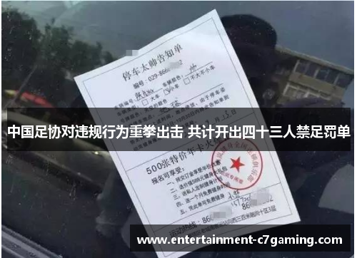 中国足协对违规行为重拳出击 共计开出四十三人禁足罚单 中国足协对违规行为重拳出击 共计开出四十三人禁足罚单